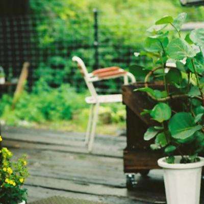 乐鱼·(LEYU)体育官方网站