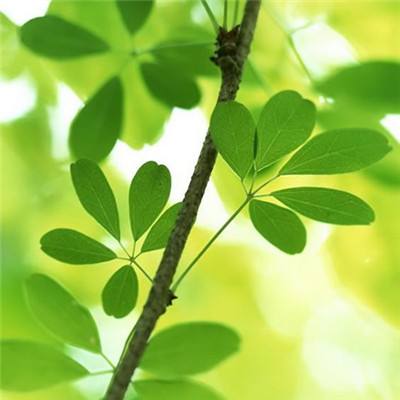 乐鱼·(LEYU)体育官方网站