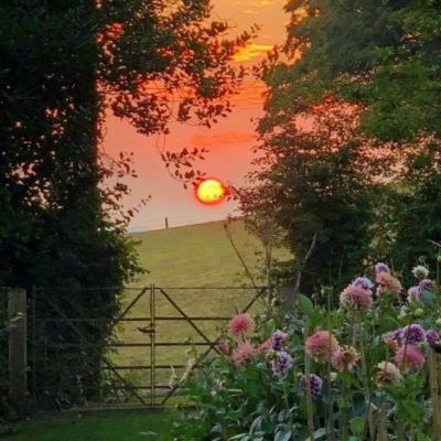 江南JN体育登录入口