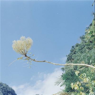 麻将胡了链接下载