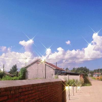 威斯尼斯wns888入口官方版下载