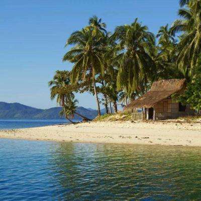 火狐体育下载app