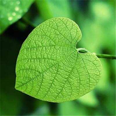 NG体育·(南宫)官方网站